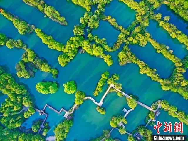 “五一”杭州西溪湿地无人机巡航 实时管控人流量