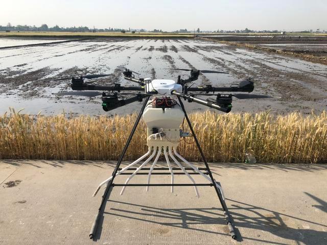 无人机直播，流水线育秧，水稻全程机械化生产，省工又省力