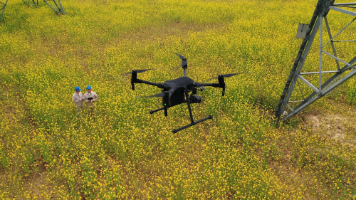 溧阳供电无人机助力输电线路项目验收