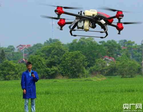 江西泰和：无人机“一喷多防” 病虫害“无处藏身”