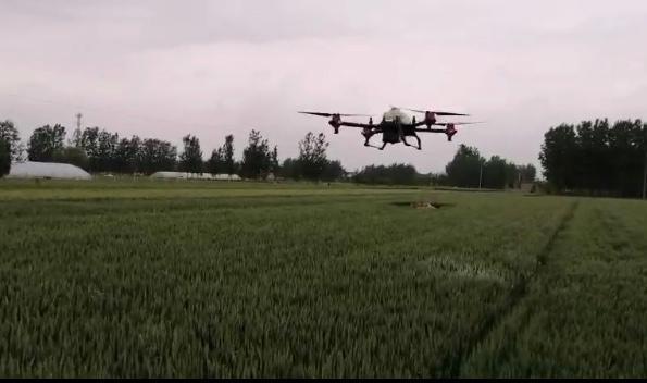 临沂罗庄傅庄：植保无人机喷防 助力小麦病虫害防治