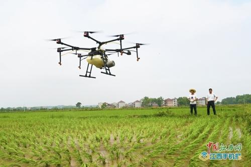 吉州：无人机植保