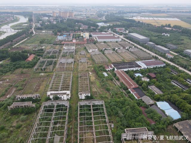 无人机飞进武汉开发区汉南湘口街最大烂尾工业园