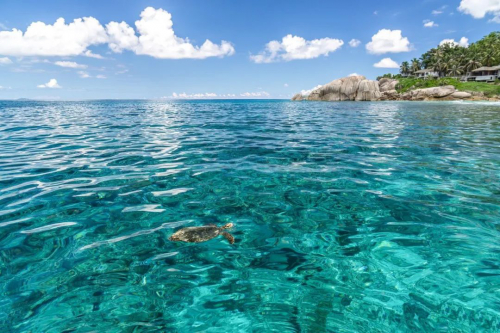 面向海洋牧场，深之蓝水下机器人大有可为