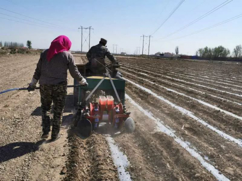 这个村村牛！机器种，机器收，打药用的是无人机