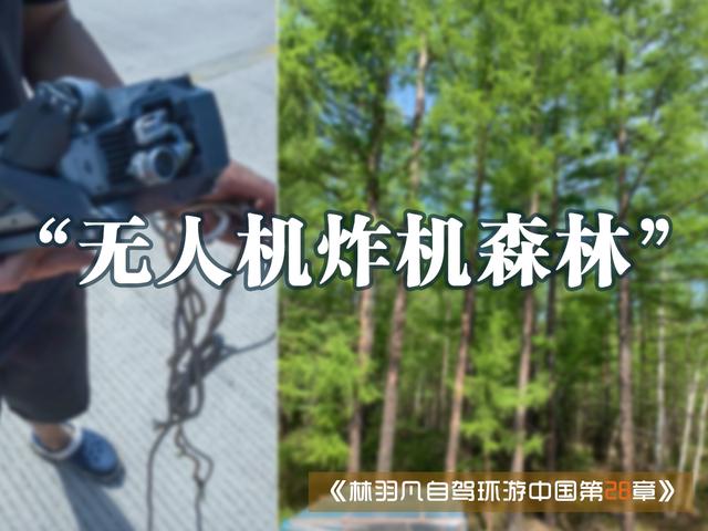 在大兴安岭森林里飞无人机航拍，然后“炸机”了，什么原因？