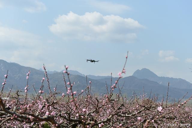 旅游航拍虽美但需守法，无人机飞手因在深圳此地航拍，被罚1000元
