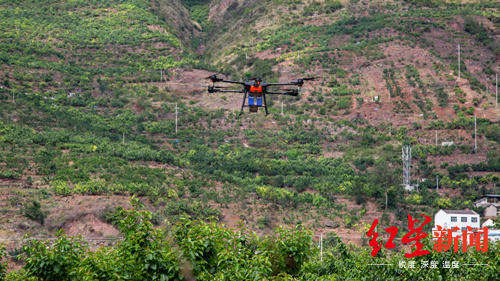 无人机运甜樱桃下山，快递进村破解“最先一公里”运输难题