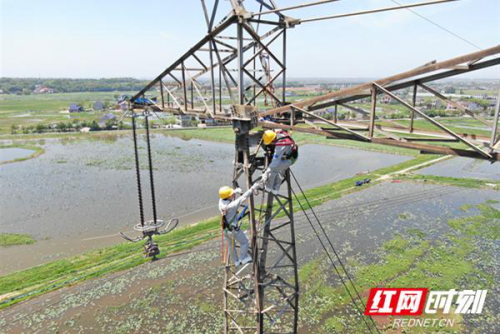 国网湖南输电检修公司：带电处置无人机撞击超（特）高压线路外破隐患