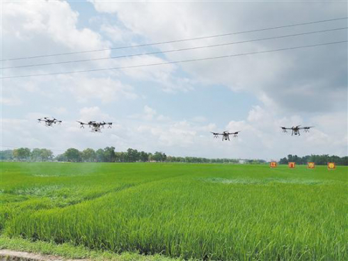 农业产业化的“标配”！无人机大显身手防病虫害