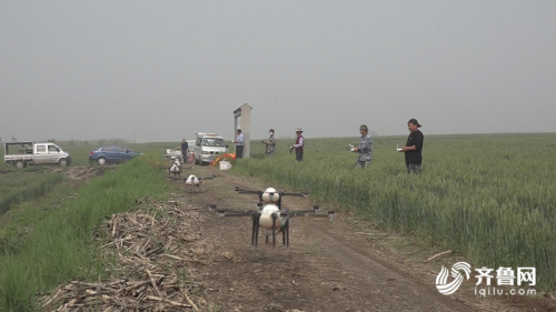 田间管理、病虫害防治，潍坊临朐用上了无人机