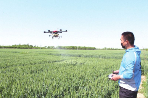 德州：241架无人机齐飞为小麦“治病” 喷洒农药21.2吨