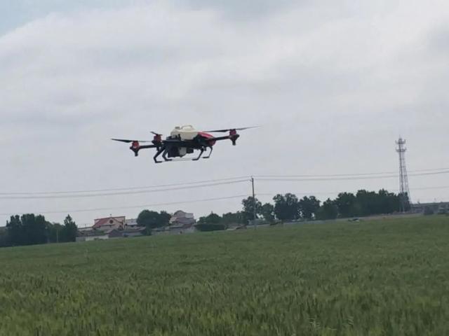 泰安马庄“无人机”飞防小麦病虫害