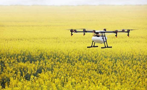 无人机作业 阿克苏百万亩小麦丰收在望