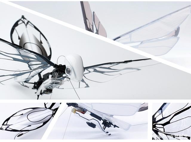 这是一只小小小小鸟，也是史上最轻巧仿生无人机