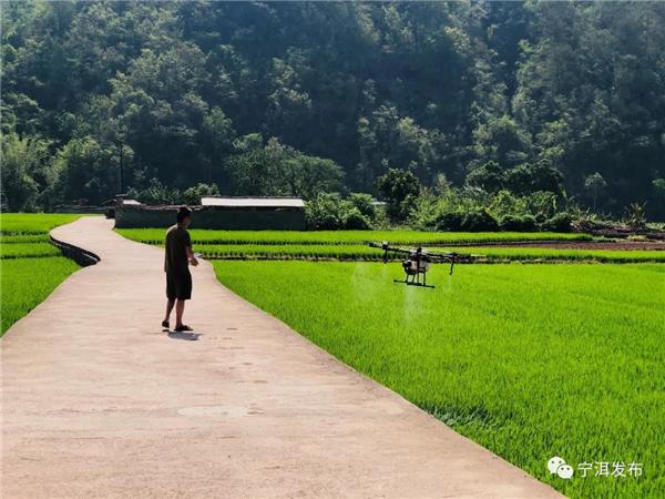 无人机喷洒农药 磨黑农民种田很“前卫”