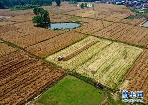无人机航拍湖南农田耕作如诗如画