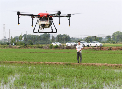  南丰：田间飞来植保无人机