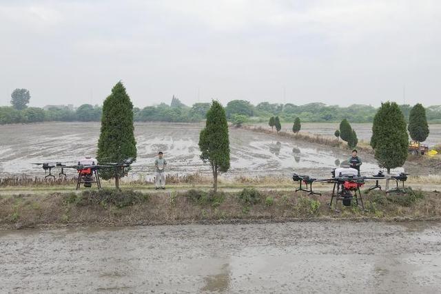 水稻播种用上无人机