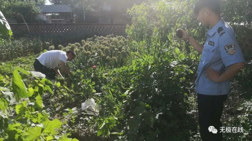 无人机出动，无极查处一起非法案件！