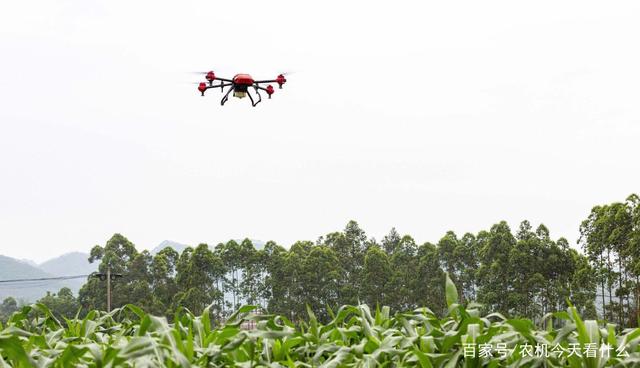 “云治蝗”：农业无人机赢好评，巴基斯坦将推进其在农业中的应用