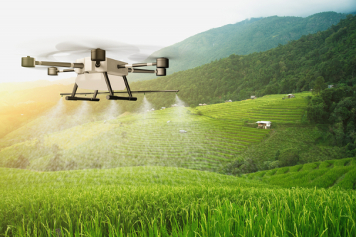 印度准许飞行无人机对抗蝗虫袭击