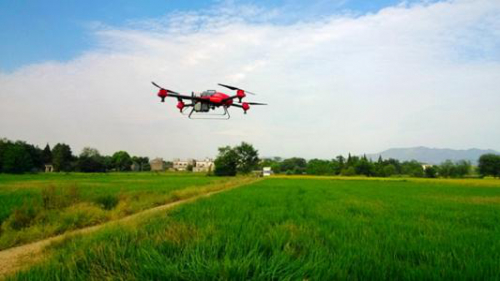 农田里的“高科技”：无人机植保技术助力农业提质增效