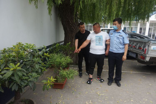 男子深夜偷花自赏 民警出动无人机侦查