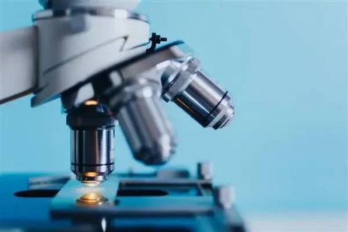 受猎豹启发的软体机器人