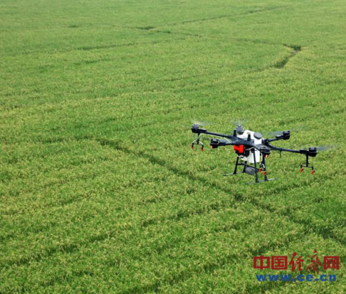 中巴联手治蝗：无人机为何不在中国援助清单上？