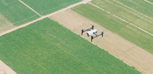 极侠遥感无人机 AI 识别农田果园边界，更快更精准！