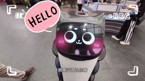 被Angelababy、周震南等摸头杀？机器人贝拉凭什么受宠