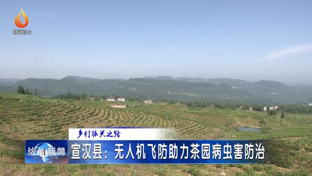 宣汉县：无人机飞防助力茶园病虫害防治