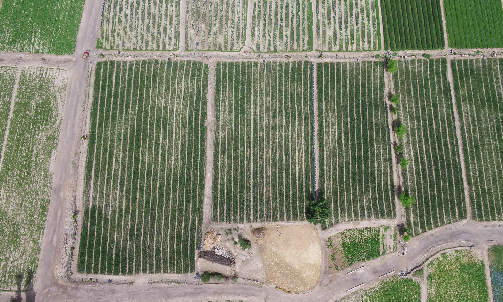 无人机助力办案 打造甘州“智慧”检察