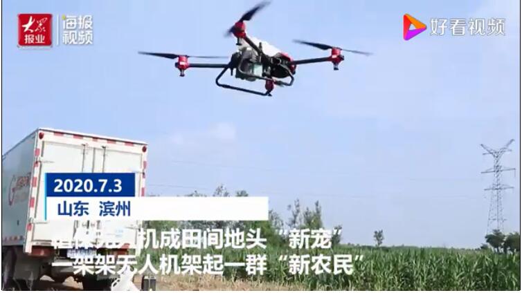 植保无人机成田间地头“新宠” 一个“农民飞手”一天能植保700多亩地