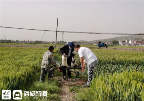 两城镇黄山一村第一书记推广无人机喷洒农药