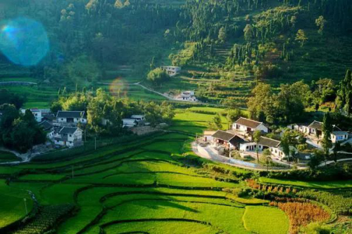 从5G“管家”到无人机“飞手”：农村新业态激发新活力