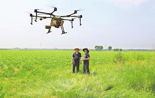 无人机飞防虫害