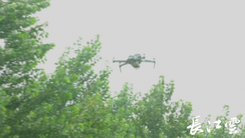 从“网络会议”到“无人机巡堤” 黄冈黄梅县科学防汛有妙招！