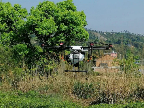 贯岭松洋村无人机巡查到违规使用除草剂案件……