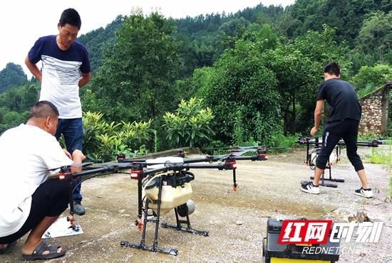 武陵源区护松林 无人机成“重器”