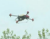 使用无人机携带药液开展对杨树食叶害虫的防治