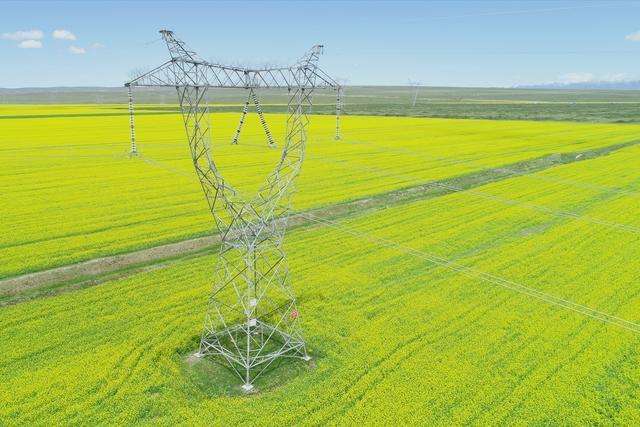 国内首次利用一键控制5架无人机新技术开展电力巡检