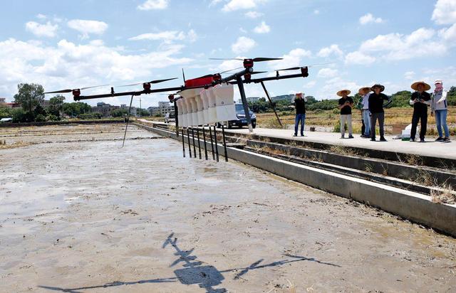 “黑科技”助力农时：无人机播种，种子穿“外衣”