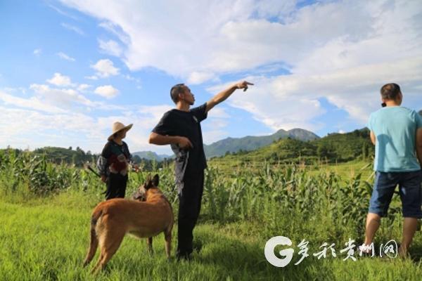 警犬和无人机出动！贵定警方帮助村民寻找失踪小黄牛