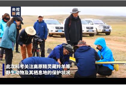 央视报道我校魅影无人机助力藏羚羊科考