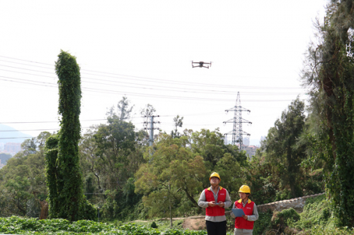 洞头区供电公司无人机巡视灾后设备 排查安全隐患