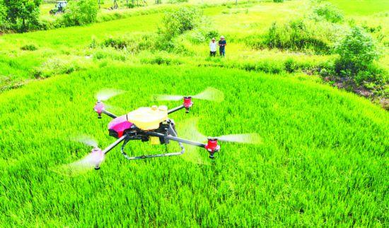 安徽合肥：无人机上天耕种“智慧农田”