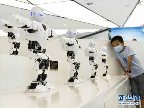 走进机器人世界 感知科技魅力