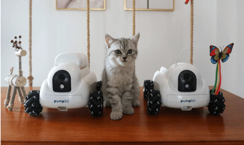 Pumpkii：专为宠物设计的机器人